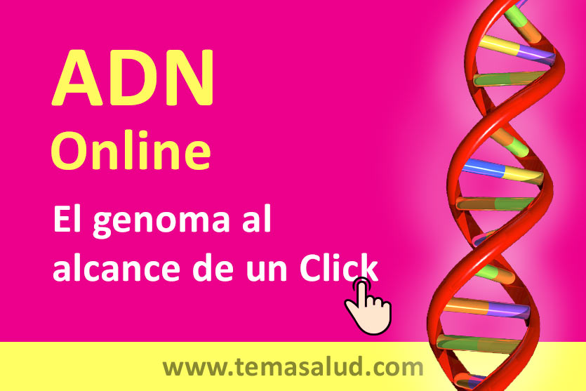 ADN Online, el genoma al alcance de un click